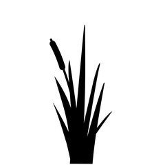 Weed Lake Grass Sillhouette