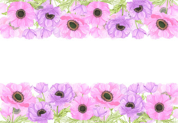 Hand drawn watercolor pink and purple anemone flowers frame border isolated on white background. Can be used for post card, poster and other printed products.