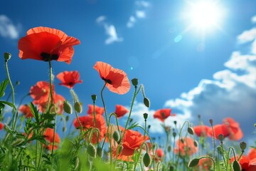 Obraz premium A field full of poppies under sunny blue sky. AI generative