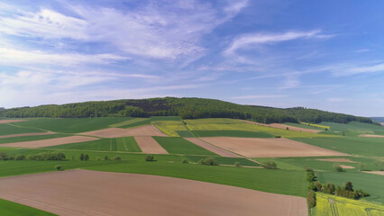 Aerial view of agricultural fields bordered by forest