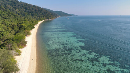 Aerial view of beautiful sandy beach surrounded by forest and ocean