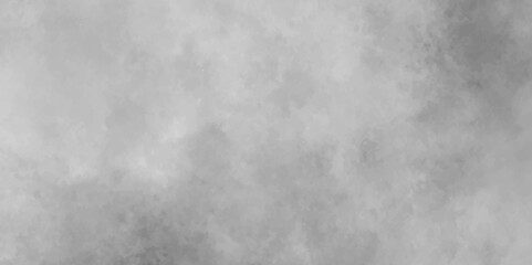 Fototapeta na wymiar Mist Fog and Dust Particles on smoke canvas, Black and white abstract grunge texture with fogg, Abstract elegant grunge white gray abstract grunge texture.