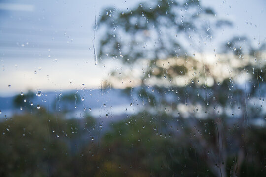 Bokeh gum trees with rain droplets running down glass window on rainy day