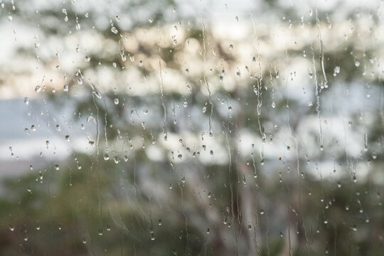 Bokeh gum trees with rain droplets running down glass window on rainy day