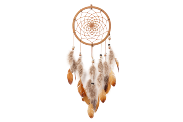 Brown and White Dream Catcher on White Background. on a White or Clear Surface PNG Transparent Background.