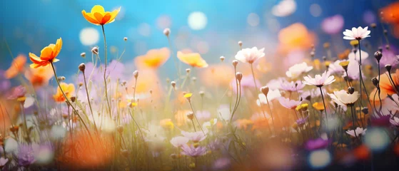 Fotobehang Abstract photo of spring meadow with wildflowers  © Black