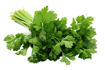 Fototapeta premium A Bunch of Green Parsley on a White Background. on a White or Clear Surface PNG Transparent Background.