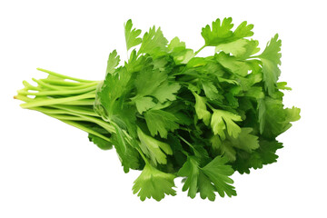 A Bunch of Green Parsley on a White Background. on a White or Clear Surface PNG Transparent Background.