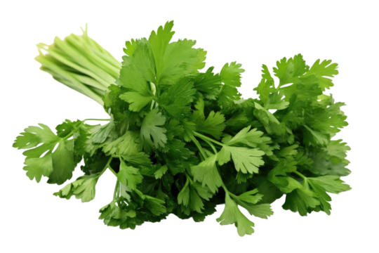 A Bunch of Green Parsley on a White Background. on a White or Clear Surface PNG Transparent Background.