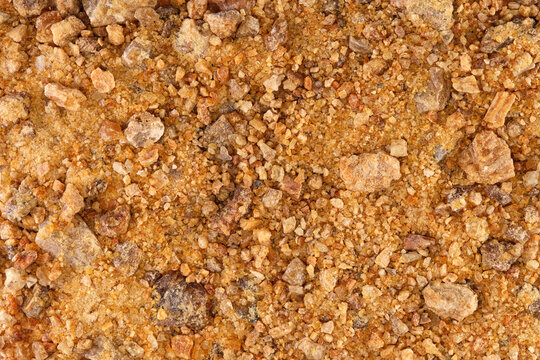 Overhead view of sal tree resin (Shorea robusta), native to India, Bangladesh, Nepal, Tibet and across the Himalayan regions.
