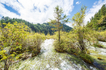 Beautiful scenery of mountains and flowing water in Jiuzhaigou Valley, Sichuan, China