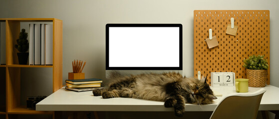 Fluffy cat sleeping on a white table next to blank computer monitor in home office