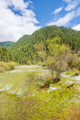 Beautiful scenery of mountains and flowing water in Jiuzhaigou Valley, Sichuan, China