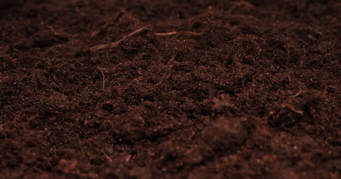 Beautiful background of earth, fertile black soil close-up. Nice lush plowed pearls ready for planting vegetables. Fertile land giving a rich harvest.