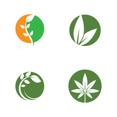 Green leaf logo vector element symbol template