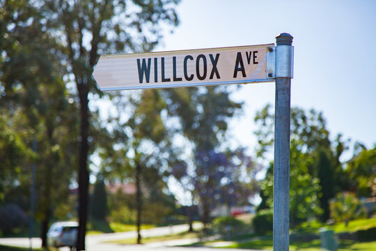 Willcox Avenue street sign