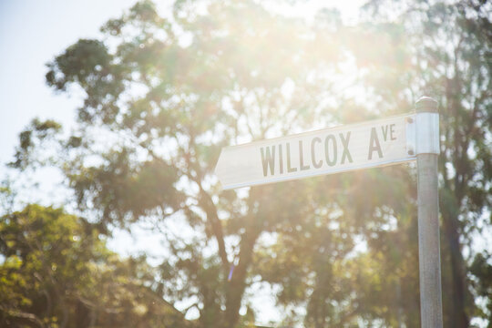 Willcox Avenue street sign
