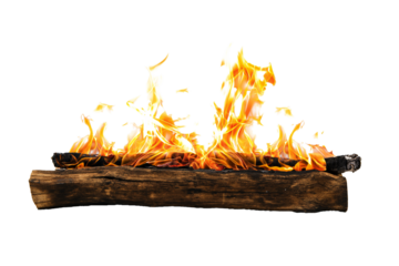 A burning wood fire burns brightly on a transparent background