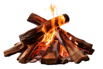 A burning wood fire burns brightly on a transparent background