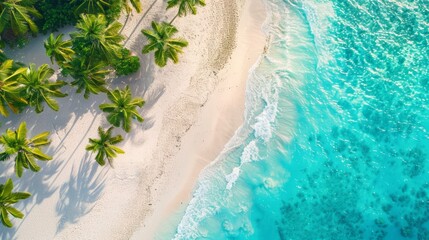 Vista panoramica di una spiaggia tropicale, con sabbia bianca, palme e mare cristallino, vista dall'alto - obrazy, fototapety, plakaty