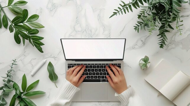 Female hands working on modern laptop. Office desktop on white background