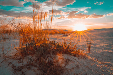 Sunset at White Sands National Park, New Mexico. - obrazy, fototapety, plakaty