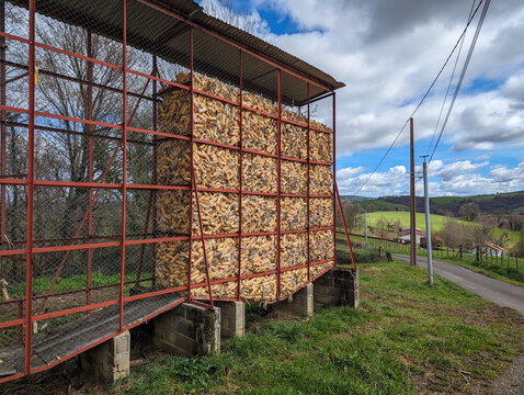 Colheita de espigas a secarem no espigueiro numa zona rural com o c&eacute;u parcialmente nublado