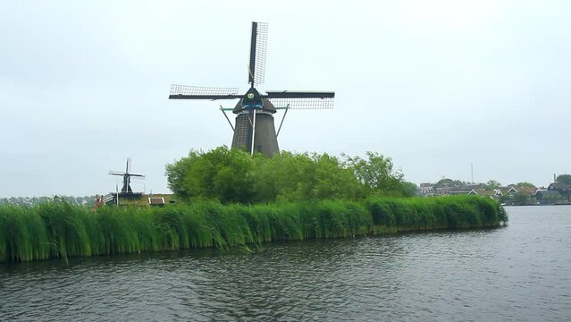 Paisaje de vegetaci&oacute;n acu&aacute;tica meciendose con el viento en la orilla del r&iacute;o holand&eacute;s Zaan, molinos de viento centenarios y la ciudad de Zaandijk