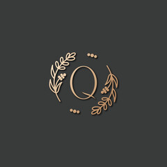 Q logo design vector image