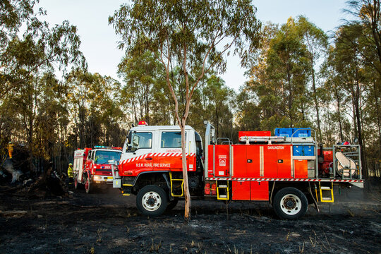Fire truck on burnt grass among gum trees