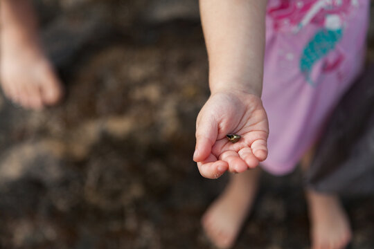 Kids hand with tiny shell found on beach
