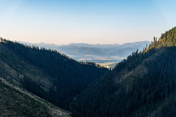 Forests devastated by timber harvesting above Rackova dolina valley in Western Tatras and Low Tatras mountains on the background in Slovakia © honza28683