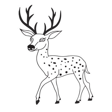 Sketch of Beautiful noble proud deer .Monochrome Vector illustration.