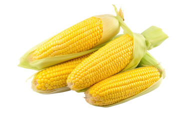 Fresh Corn on the Cob on White Background. on a White or Clear Surface PNG Transparent Background.