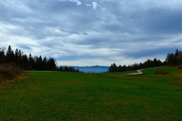 Meadow at Stefanja Gora in Gorenjska, Slovenia