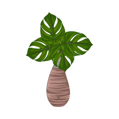 Illustration of palm tree 