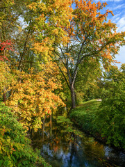 Jesień w parku w Olsztynie. Rzeka Łyna. - obrazy, fototapety, plakaty