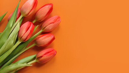 Bouquet of red tulips lies on an orange background, top view. Flowers for banners and cards. Bouquet for Mother's Day or other holiday. Tulips on a bright background with copy space
