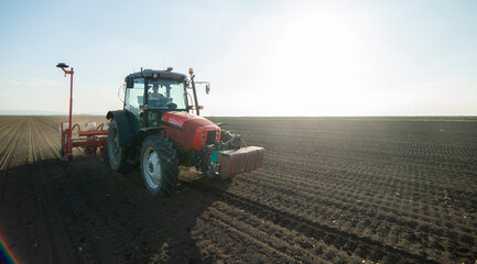 Sowing crops at agricultural fields in spring