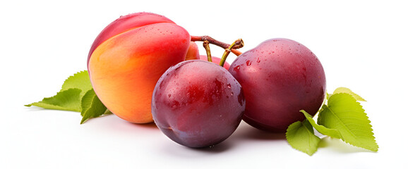 Fresh plumbs on white background close up ,Fruits, plums isolated on white background 