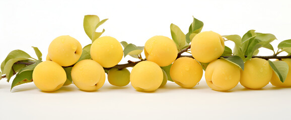Pile of multiple yellow mirabelle plums isolated over the white background
