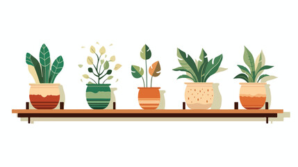 Potted plan vector flat Illustration Home and office