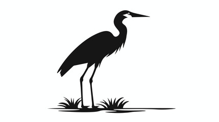 Naklejka premium The Black Heron Bird Egretta Ardesiaca also known a