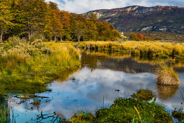 Tierra del Fuego National Park, Patagonia, Argentina