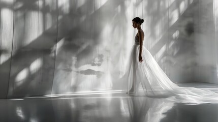 A girl model showcasing elegance in a white gown, her silhouette highlighted against a sleek silver...