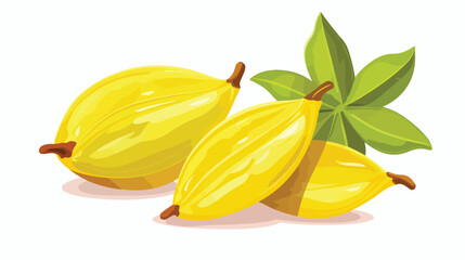 Whole fruit of the carambola vertically vector flat