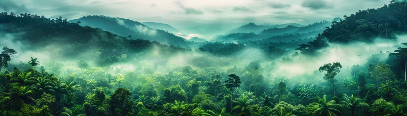 Poster Jungle, tropical forest, morning fog, top view. © Dinara