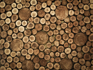 a stump-decorated wall house