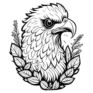 animal eagle brave with floral illustration sketch hand draw
