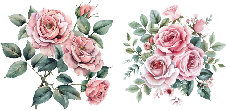 Watercolor rose flowers set
